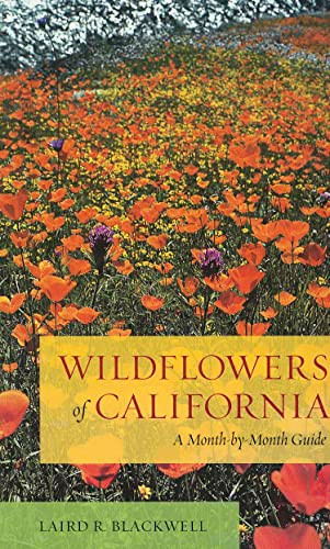 Wildflowers of California: A Month-by-Month Guide
