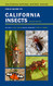 Field Guide to California Insects Volume 111