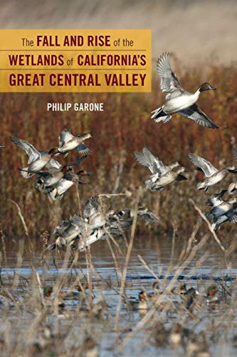 Fall and Rise of the Wetlands of California's Great Central