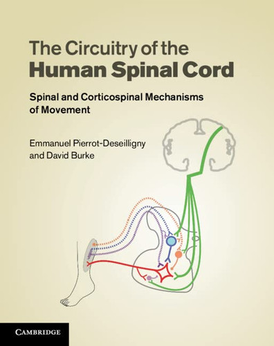 Circuitry of the Human Spinal Cord