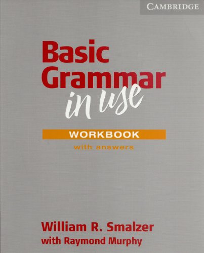 Basic Grammar in Use Workbook with Answers