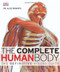 Complete Human Body