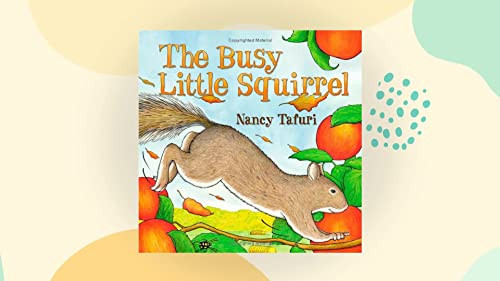 Busy Little Squirrel