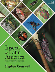 Insects of Latin America: A photographic Guide