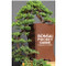 Bonsai Pocket Guide: A Beginner's Journey