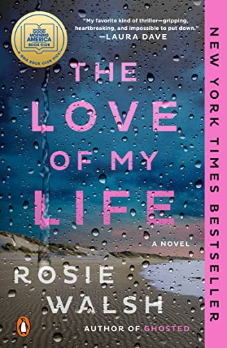 Love of My Life: A Novel