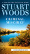 Criminal Mischief (A Stone Barrington Novel)