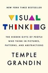 Visual Thinking: The Hidden Gifts of People Who Think in Pictures