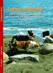 Corgis on Wheels Understanding and Caring for the Special Needs