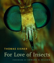 For Love of Insects