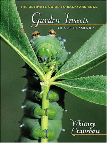 Garden Insects of North America: The Ultimate Guide to Backyard Bugs