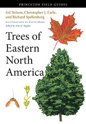 Trees of Eastern North America (Princeton Field Guides 91)