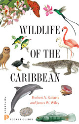 Wildlife of the Caribbean (Princeton Pocket Guides)