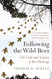 Following the Wild Bees: The Craft and Science of Bee Hunting