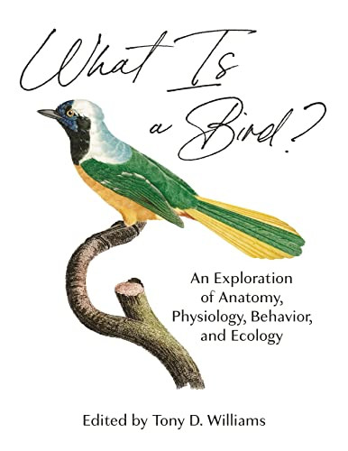 What Is a Bird?: An Exploration of Anatomy Physiology Behavior