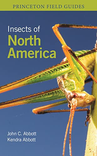 Insects of North America (Princeton Field Guides 157)