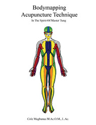 Bodymapping acupuncture technique