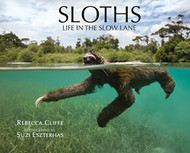 Sloths: Life in the Slow Lane