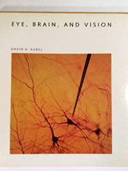 Eye Brain and Vision (Scientific American Library)