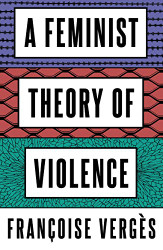 Feminist Theory of Violence: A Decolonial Perspective
