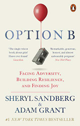 Option B: Facing Adversity Building Resilience and Finding Joy