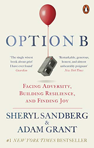 Option B: Facing Adversity Building Resilience and Finding Joy