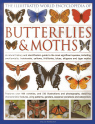 Illustrated World Encyclopedia of Butterflies and Moths