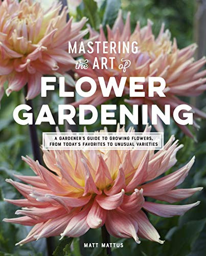 Mastering the Art of Flower Gardening