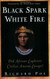 Black Spark White Fire