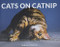 Cats on Catnip