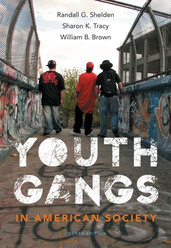 Youth Gangs In American Society