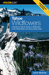 Tahoe Wildflowers: A Month-By-Month Guide To Wildflowers In The Tahoe