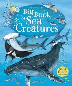Usborne Big Book of Sea Creatures