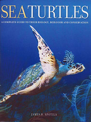 Sea Turtles: A Complete Guide to Their Biology Behavior