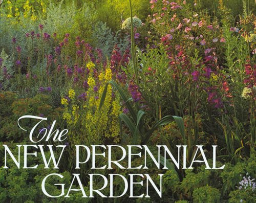 New Perennial Garden