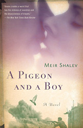 Pigeon and a Boy: A Novel