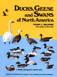 Ducks Geese and Swans of North America