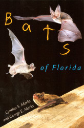 Bats of Florida