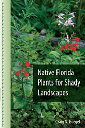 Native Florida Plants for Shady Landscapes
