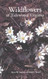 Wildflowers of Tidewater Virginia