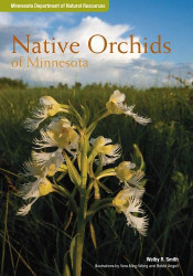 Native Orchids of Minnesota
