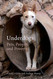 Underdogs: Pets People and Poverty
