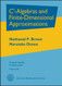 C*-Algebras and Finite-Dimensional Approximations - Graduate Studies