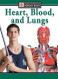 Heart Blood and Lungs (Understanding the Human Body)