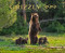 Grizzly 399: The World's Most Famous Mother Bear