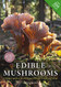 Edible Mushrooms: A forager's guide to the wild fungi of Britain