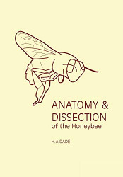 Anatomy and Dissection of the Honeybee