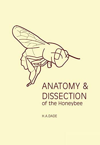 Anatomy and Dissection of the Honeybee