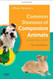 Common Diseases Of Companion Animals