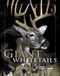 Giant Whitetails: A Lifetime of Lessons